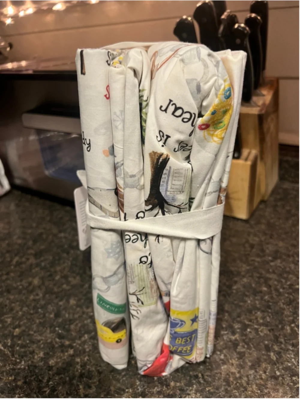 New Pottery Barn Elf™ Percale Queen Sheet Set